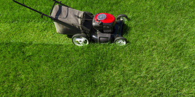 AGAJ0308 Gestión de la Instalación y Mantenimiento de Céspedes en Campos Deportivos