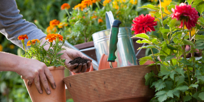 AGAU0210 Gestión de la Producción de Semillas y Plantas en Vivero