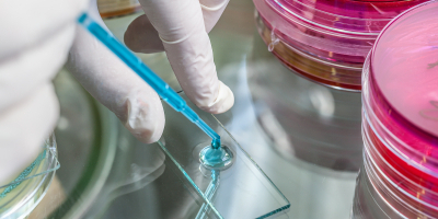 Curso de Biología del Comportamiento