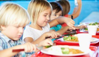 Experto en Nutrición Infantil
