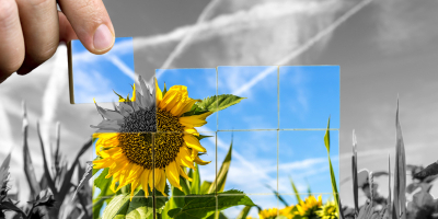 Curso de Responsable de Almacenes Agrícolas