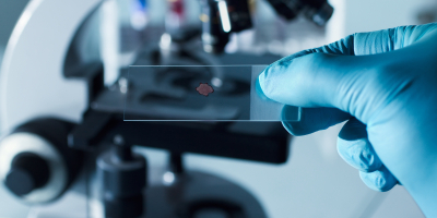 Especialista en Biodiversidad Microbiana