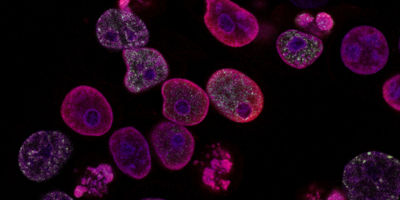 Curso de Biología Molecular y Citogenética