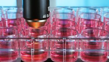 Especialista en Biología Molecular y Citogenética