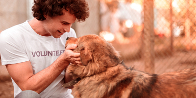 Curso de Cuidador de Animales