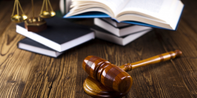 Curso en Derecho Penal Ambiental