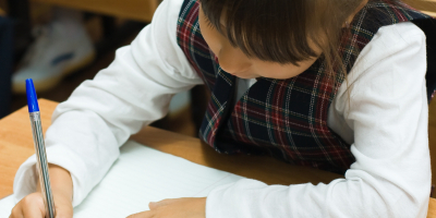 Curso en Intervención Didáctica y Pedagogía en Educación Primaria