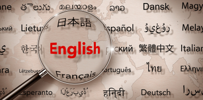 Especialista en Estrategias de Traducción y Resolución de Problemas