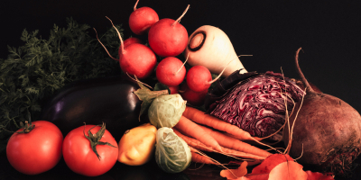 Curso de Estudio de los Alimentos
