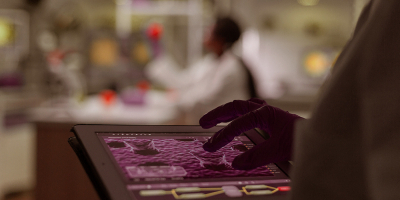 Especialista en Ingenieria Biomedica: Métodos de Modelizacion y Simulacion de Biosistemas