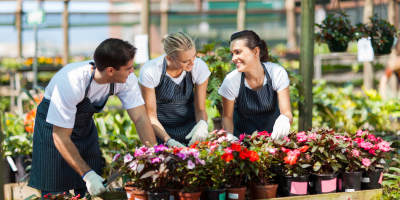 Especialista en Uso y Manejo de Herramientas y Maquinaria de Jardinería