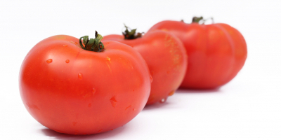 Especialista en Nutrición y Sus Efectos Sobre el Personal de Vuelo