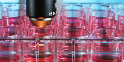 Especialista en Parasitología