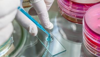 Curso de Técnicas de Patología Molecular