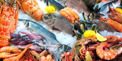 Curso de Servicio de Pescadería en Supermercados y Tiendas de Alimentación