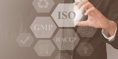 Curso Superior en Implantación y Auditoría de Sistemas de Gestión de la Calidad (ISO 9001)