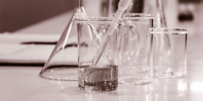Curso en Técnicas de Bioquimica de los Alimentos