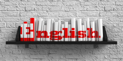 Especialista en Didáctica del Inglés en Educación Infantil