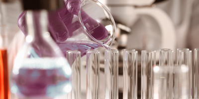 Experto en Ensayos Microbiológicos