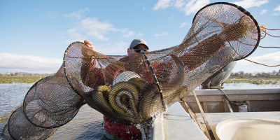 INAJ0109 Pescadería y Elaboración de Productos de la Pesca y Acuicultura
