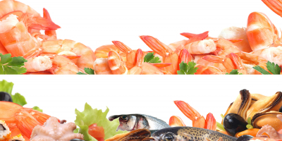 MF0319_2 Elaboración de Congelados y Cocinados de Pescado