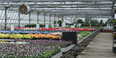 MF1112_1 Operaciones Auxiliares de Mantenimiento de Instalaciones, Maquinaria, Equipos y Herramientas de Floristería (...