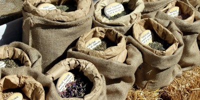 MF1292_3 Recolección de Frutos, Semillas, Hongos, Plantas y Otros Productos Forestales Comercializables (Online)