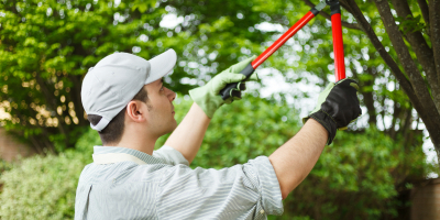 MF1492_3 Gestión de las Operaciones de Propagación de Plantas en Vivero