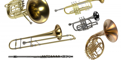 MF2109_2 Sustitución y Mantenimiento de Muelles Planos y de Aguja en Instrumentos de Viento-Madera