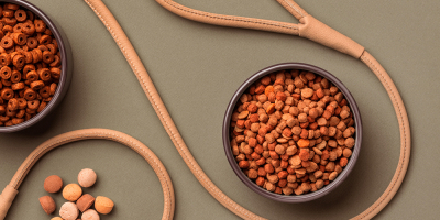 Curso en Calidad y Seguridad en Alimentos en Nutrición Animal
