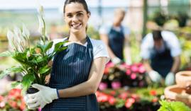 MF0522_1 Operaciones Básicas para el Mantenimiento de Jardines, Parques y Zonas Verdes (Online)