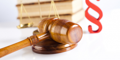 Perito Judicial en Menores Infractores