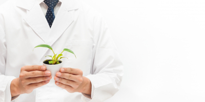 Curso en Innovación y Tecnología Médica