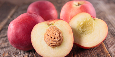 UF0013 Recolección, Transporte, Almacenamiento y Acondicionamiento de la Fruta (Online)