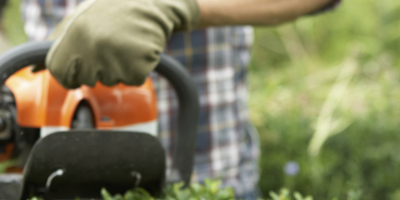 UF0020 Operaciones para la Instalación de Jardines y Zonas Verdes (Online)
