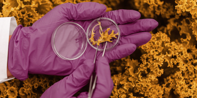 UF0112 Técnicas Bioquímicas de Análisis