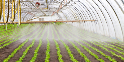 UF0211 Prevención del Estado Sanitario de Cultivos Ecológicos y Aplicación de Productos (Online)