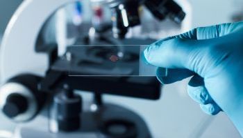 UF0221 Preparación de Muestras y Equipos para Ensayos Fisicoquímicos (Online)