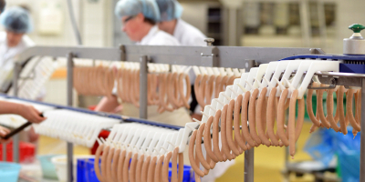 UF0355 Elaboración de Conservas y Cocinados Cárnicos