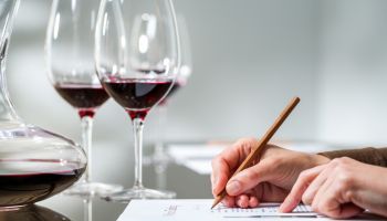 UF0849 Preparación y Cata de Vinos y Otras Bebidas Alcohólicas
