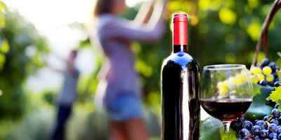 UF0909 Procesos de Elaboración de Productos Derivados de la Uva y del Vino