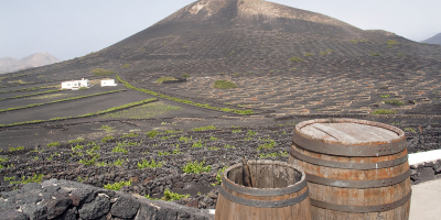 UF0941 Clarificación y Estabilización del Vino