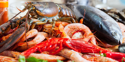 UF1223 Acondicionado del Pescado y Marisco