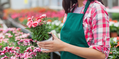 UF1748 Realización de Composiciones Florales en Recipientes y Atadas