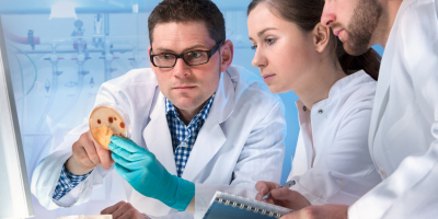 UF2079 Obtención de Otros Metabolitos Aplicando Técnicas Distintas a las de Biología Molecular