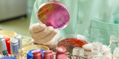 UF2084 Recogida de Datos, Clasificación y Archivo de la Documentación Técnica del Proceso Biotecnológico