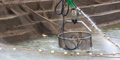 UF2731 Organización de Programas de Mantenimiento de una Instalación Acuícola